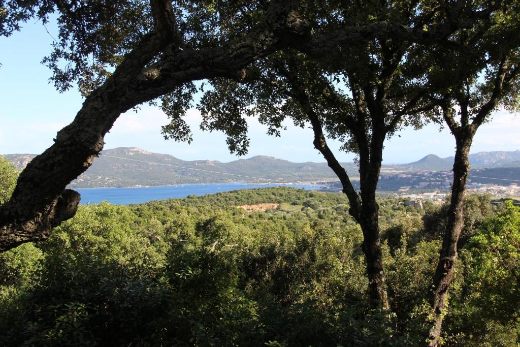 Hotel Les Hauts De Porto-Vecchio ห้อง รูปภาพ